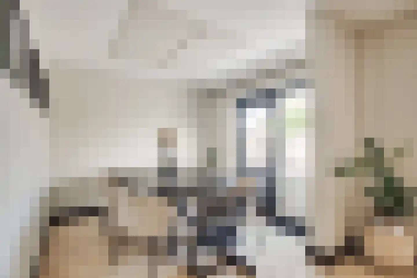 Adriaan van der Kloosterstraat 64 Hoek van Holland thumbnail 13