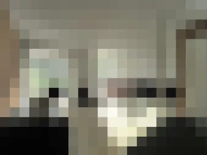 Adriaan van Ostadelaan 15 Alblasserdam thumbnail 10