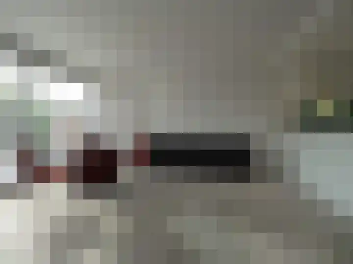 Adriaan van Ostadelaan 15 Alblasserdam thumbnail 14