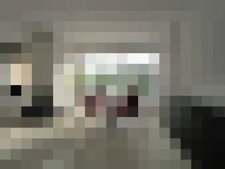 Adriaan van Ostadelaan 15 Alblasserdam thumbnail 15