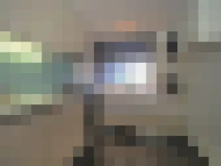 Adriaan van Ostadelaan 15 Alblasserdam thumbnail 20