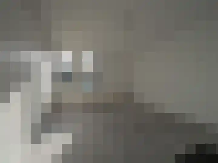 Adriaan van Ostadelaan 15 Alblasserdam thumbnail 24