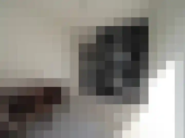 Adriaan van Ostadelaan 15 Alblasserdam thumbnail 25