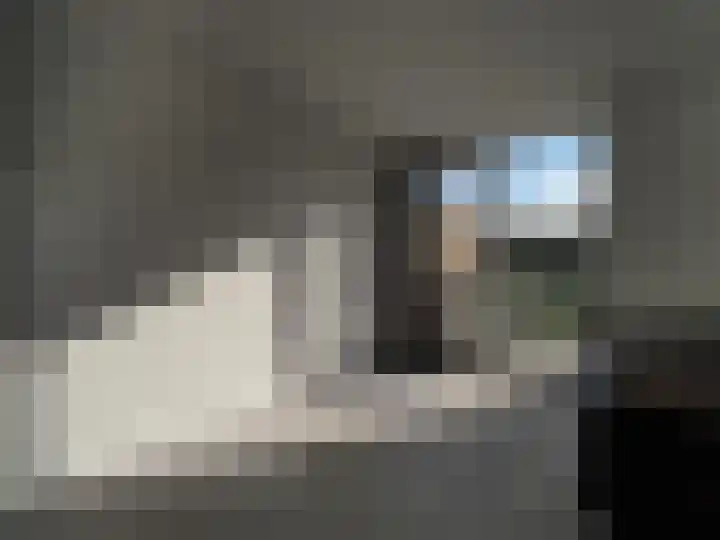 Adriaan van Ostadelaan 15 Alblasserdam thumbnail 26