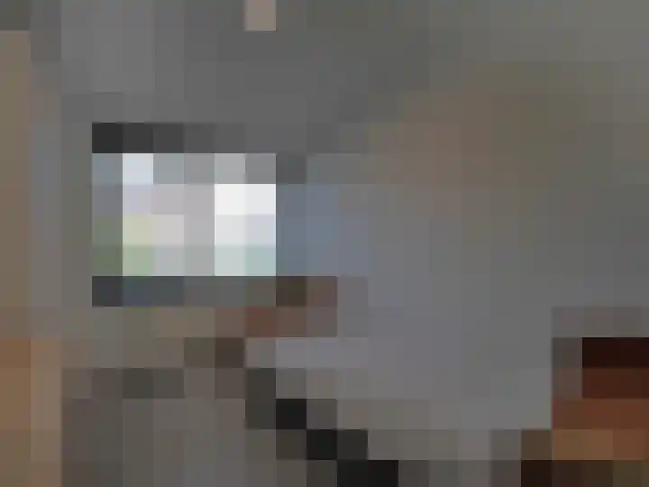 Adriaan van Ostadelaan 15 Alblasserdam thumbnail 32