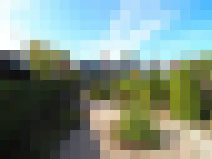 Adriaan van Ostadelaan 15 Alblasserdam thumbnail 37