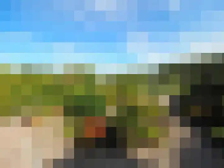 Adriaan van Ostadelaan 15 Alblasserdam thumbnail 41