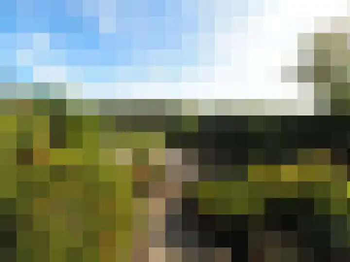 Adriaan van Ostadelaan 15 Alblasserdam thumbnail 42