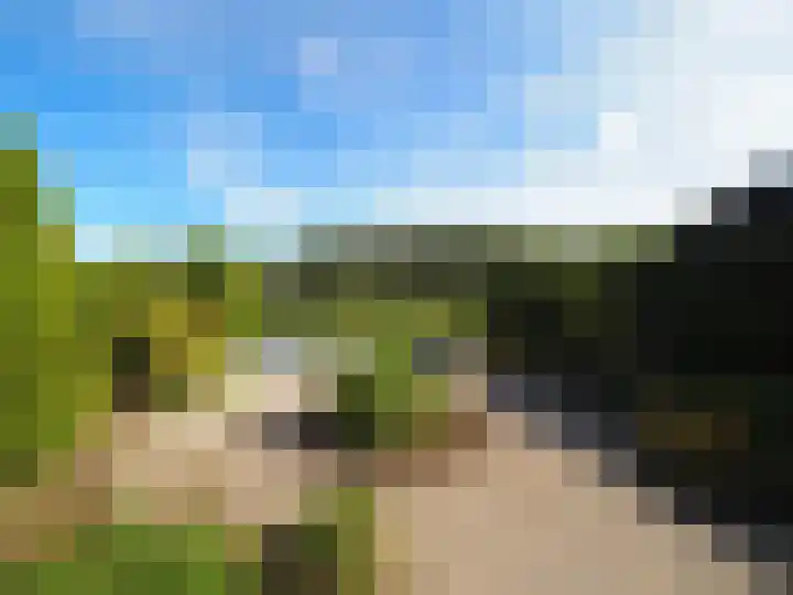 Adriaan van Ostadelaan 15 Alblasserdam thumbnail 44