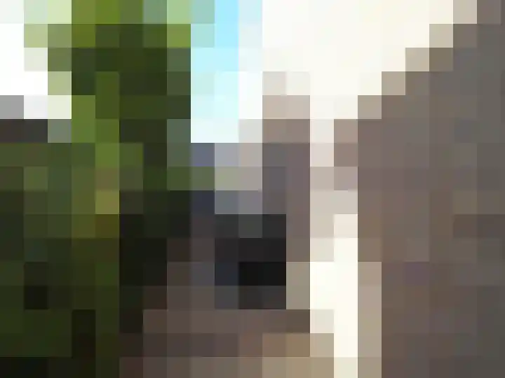 Adriaan van Ostadelaan 15 Alblasserdam thumbnail 50