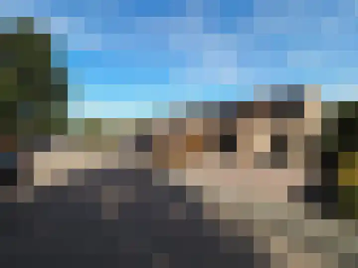 Adriaan van Ostadelaan 15 Alblasserdam thumbnail 53