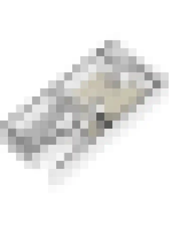 Adriaan van Ostadelaan 15 Alblasserdam thumbnail 58
