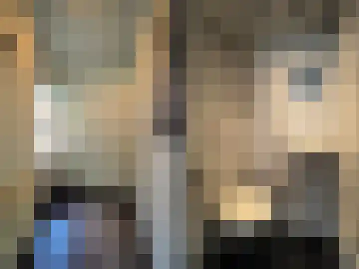 Adriaan van Ostadelaan 15 Alblasserdam thumbnail 7