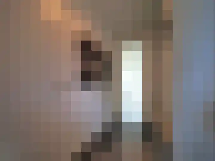 Adriaan van Ostadelaan 15 Alblasserdam thumbnail 8
