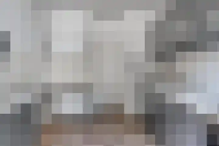 Adriaan van Ostadelaan 3 Berkel-Enschot thumbnail 12