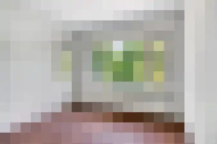 Adriaan van Ostadelaan 3 Berkel-Enschot thumbnail 19