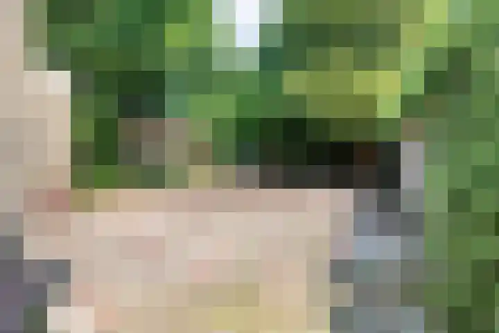 Adriaan van Ostadelaan 3 Berkel-Enschot thumbnail 32