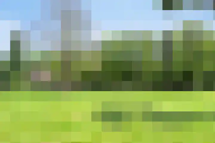 Adriaan van Ostadelaan 3 Berkel-Enschot thumbnail 36