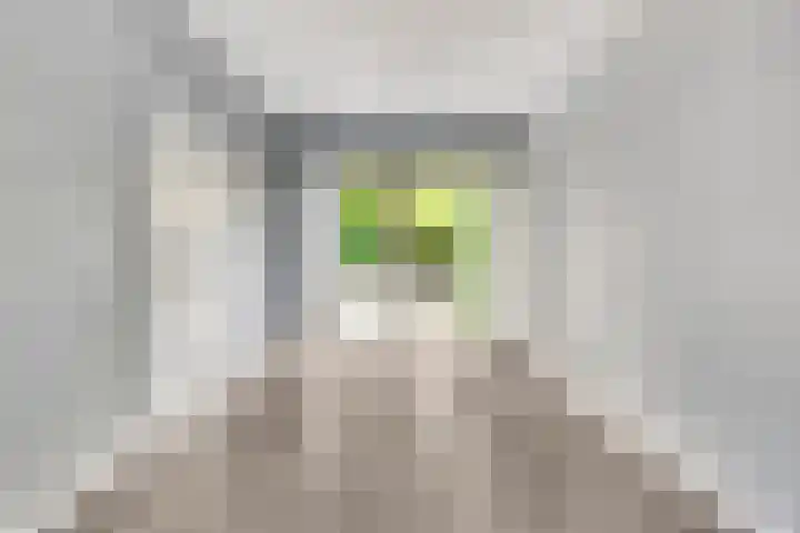 Adriaan van Ostadelaan 3 Berkel-Enschot thumbnail 6