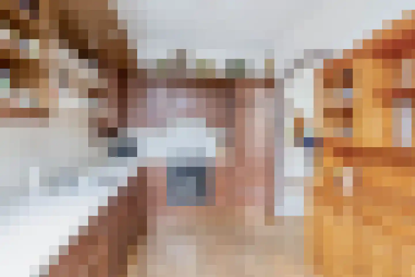 Adriaan van Ostadelaan 70 Alblasserdam thumbnail 18