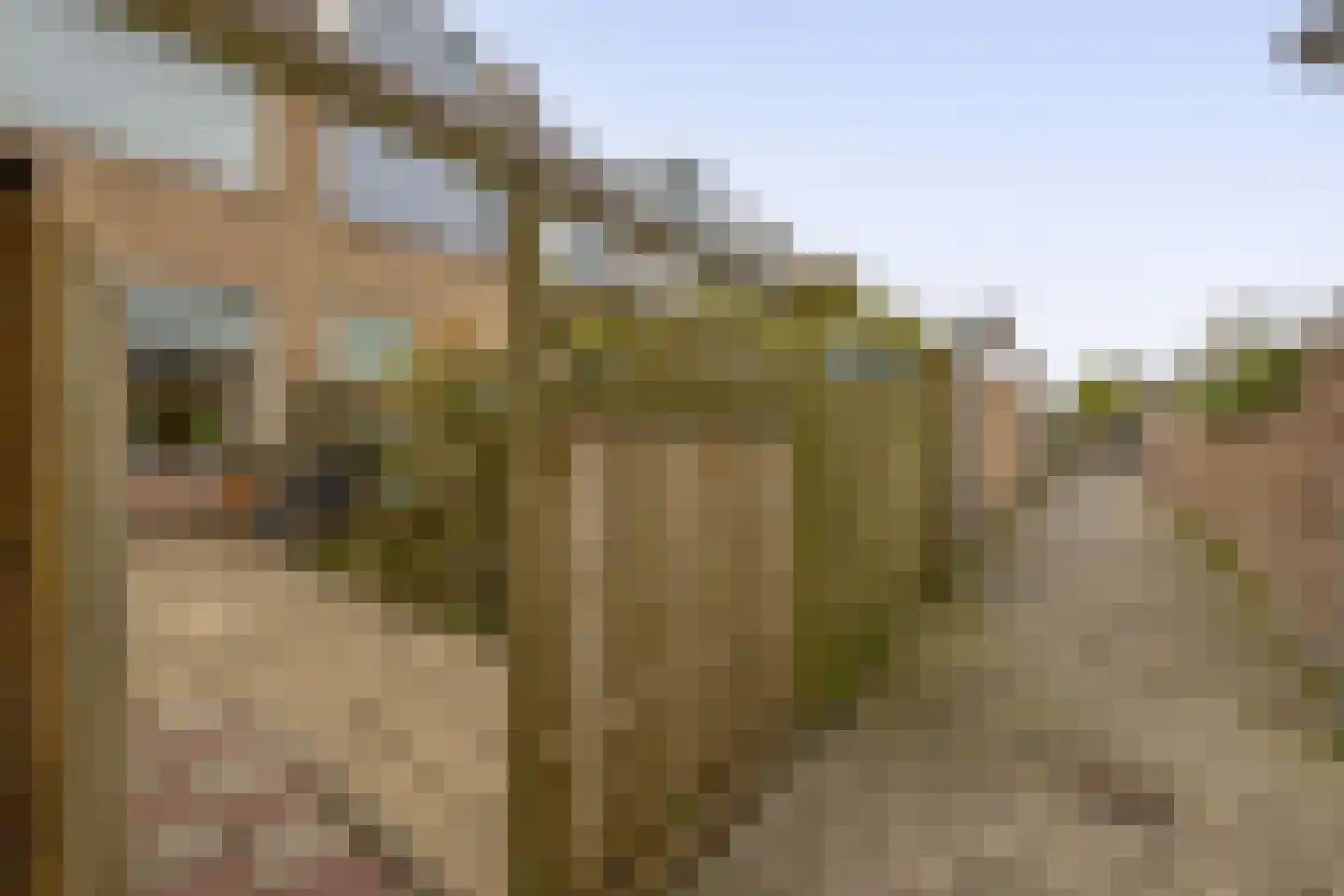 Adriaan van Ostadelaan 70 Alblasserdam thumbnail 23