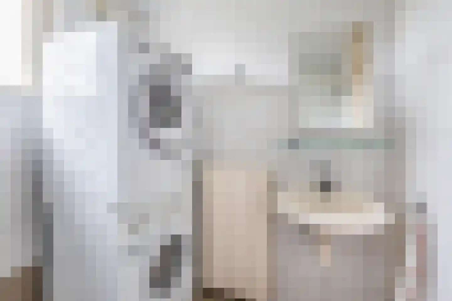 Adriaan van Ostadelaan 70 Alblasserdam thumbnail 32