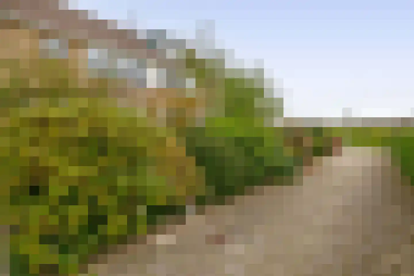 Adriaan van Ostadelaan 70 Alblasserdam thumbnail 46