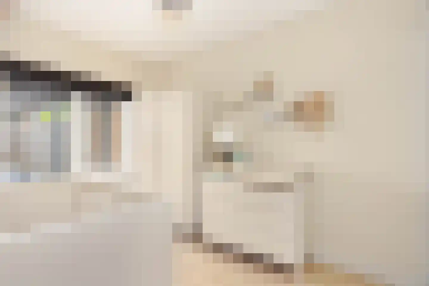 Adriaan van Ostadestraat 10 Maarssen thumbnail 13