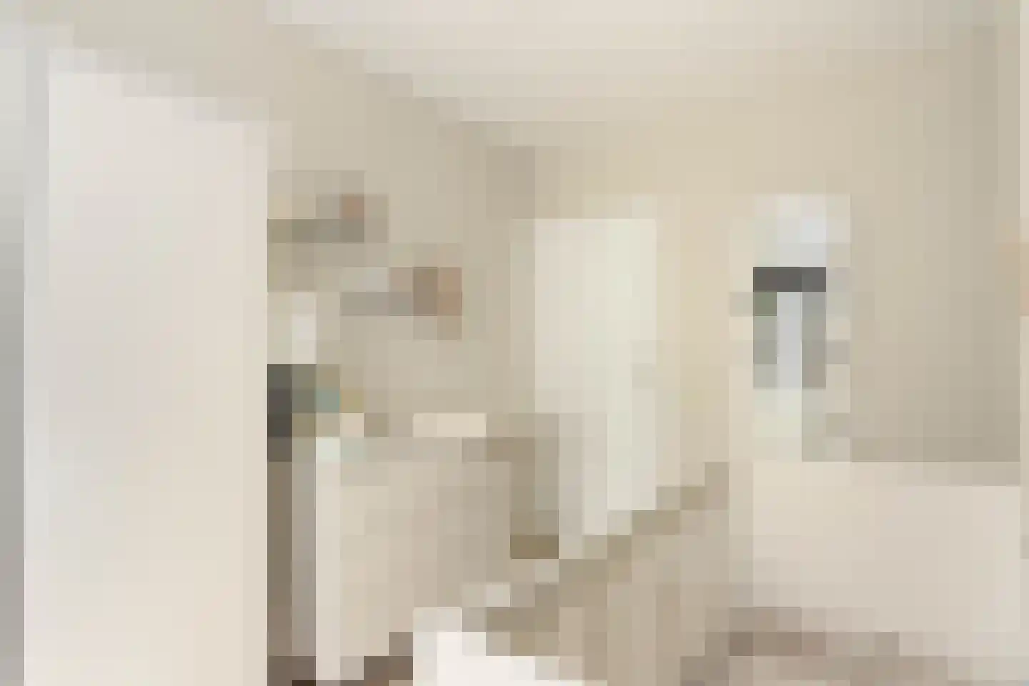 Adriaan van Ostadestraat 10 Maarssen thumbnail 14