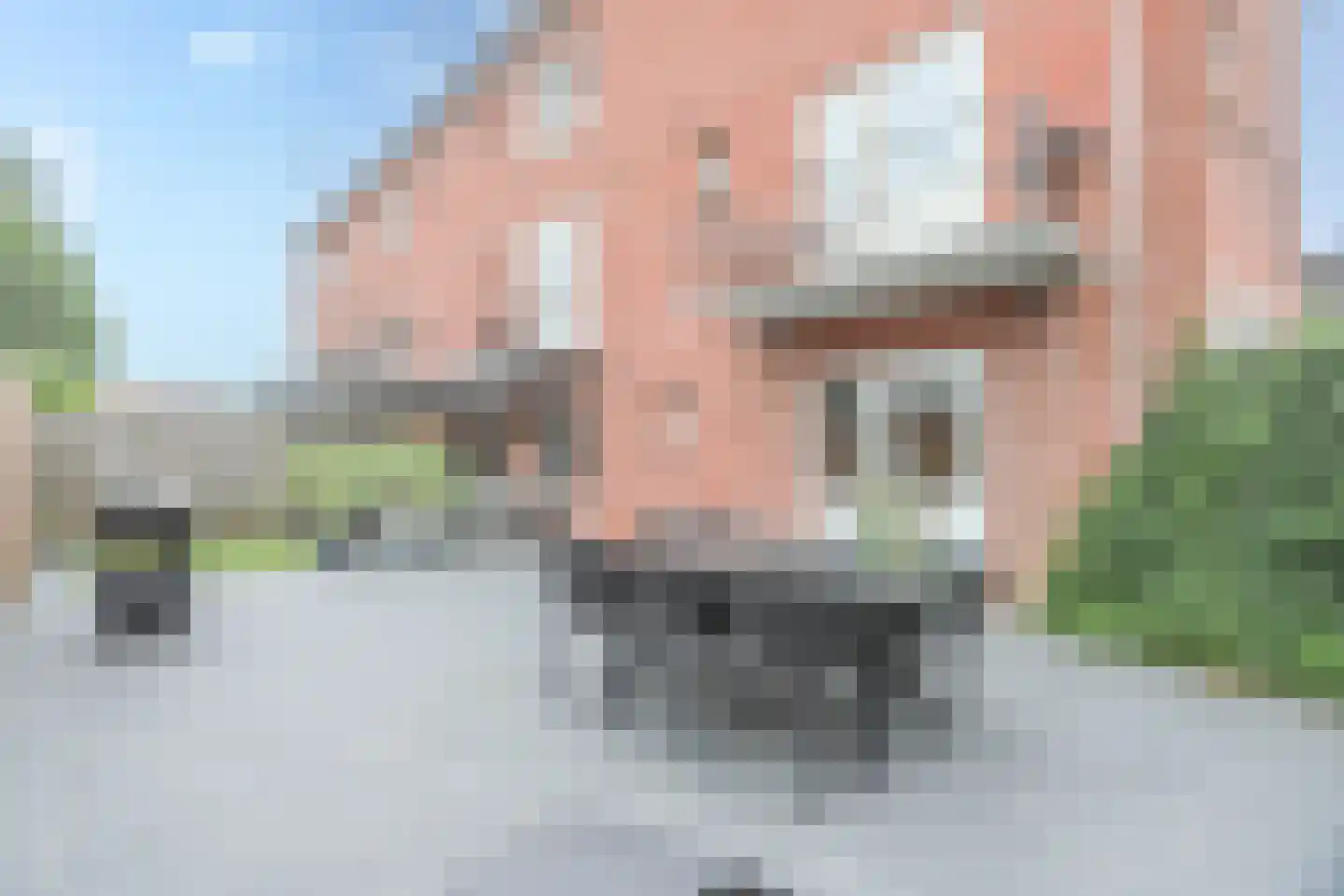 Adriaan van Ostadestraat 10 Maarssen thumbnail 21