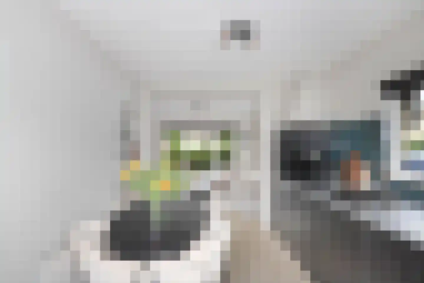 Adriaan van Ostadestraat 10 Maarssen thumbnail 9