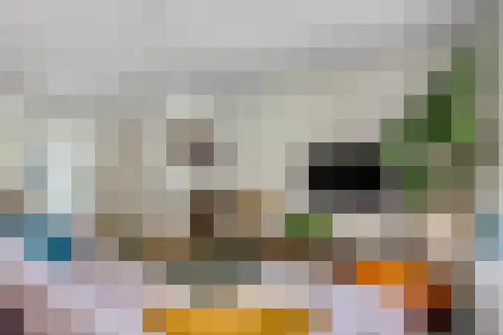 Adriaan van Ostadestraat 12 Tiel thumbnail 10