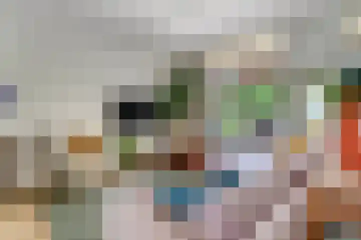 Adriaan van Ostadestraat 12 Tiel thumbnail 11