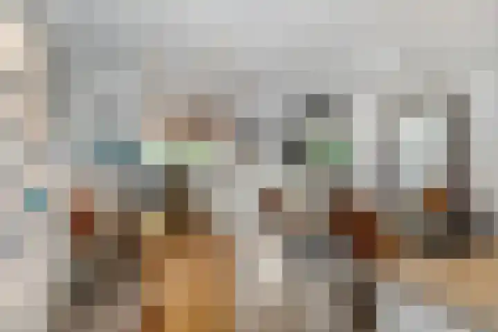 Adriaan van Ostadestraat 12 Tiel thumbnail 17