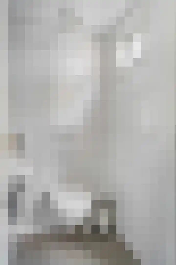 Adriaan van Ostadestraat 12 Tiel thumbnail 19