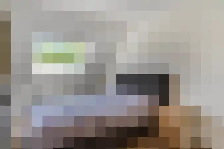 Adriaan van Ostadestraat 12 Tiel thumbnail 21