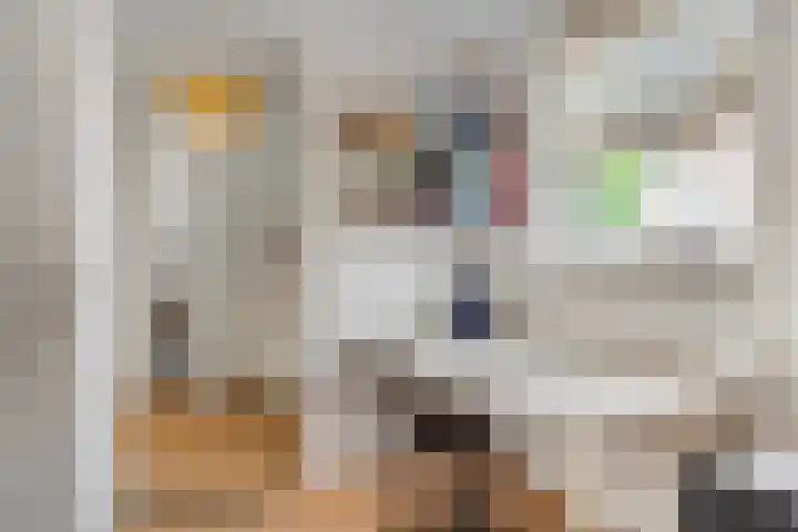 Adriaan van Ostadestraat 12 Tiel thumbnail 24