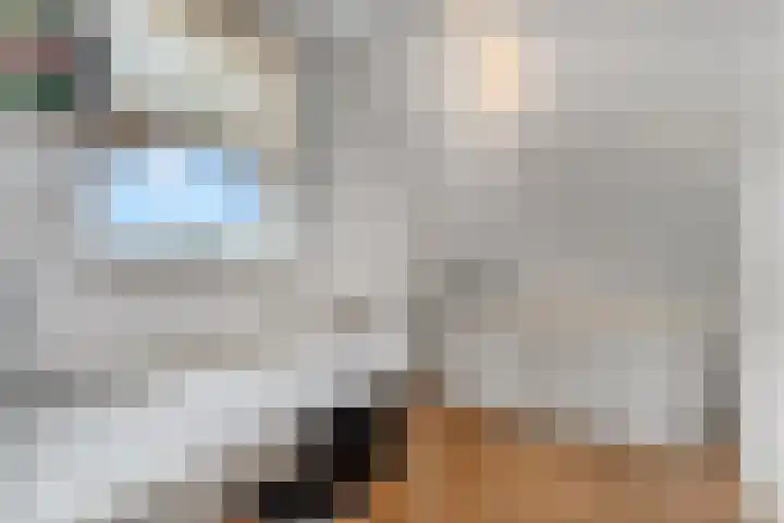 Adriaan van Ostadestraat 12 Tiel thumbnail 25
