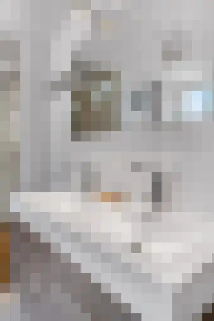 Adriaan van Ostadestraat 12 Tiel thumbnail 27