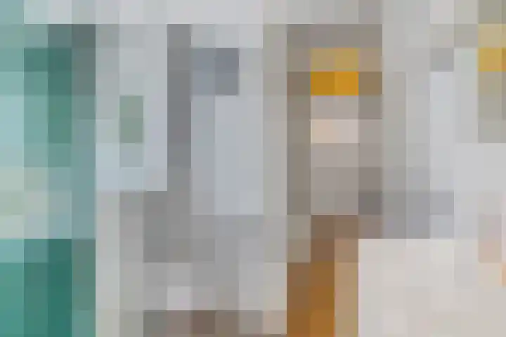 Adriaan van Ostadestraat 12 Tiel thumbnail 28