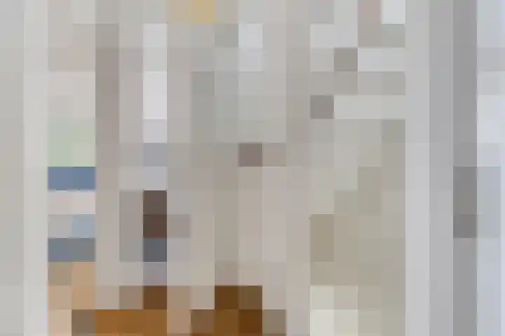Adriaan van Ostadestraat 12 Tiel thumbnail 31