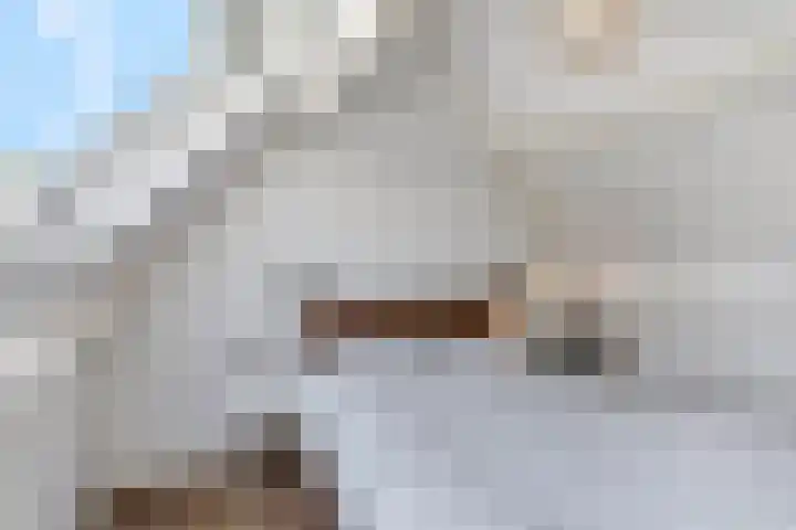 Adriaan van Ostadestraat 12 Tiel thumbnail 32