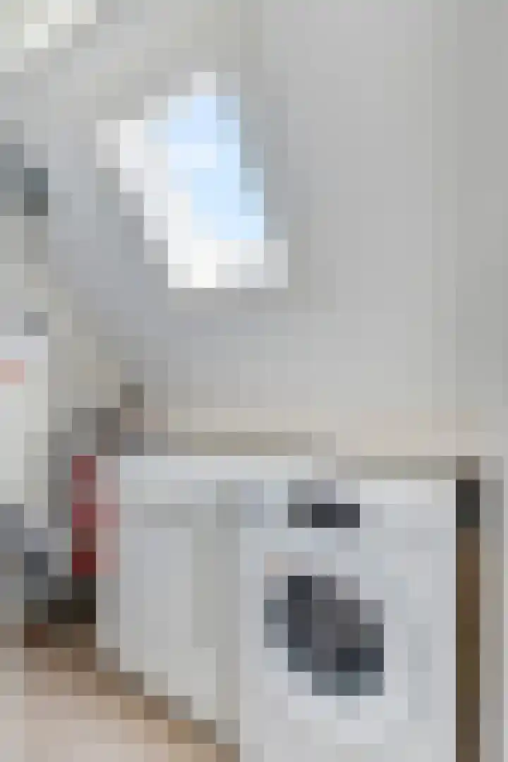 Adriaan van Ostadestraat 12 Tiel thumbnail 34