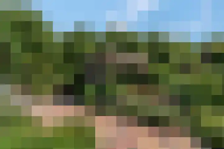 Adriaan van Ostadestraat 12 Tiel thumbnail 41