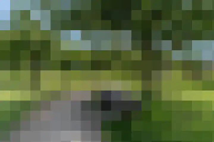 Adriaan van Ostadestraat 12 Tiel thumbnail 44