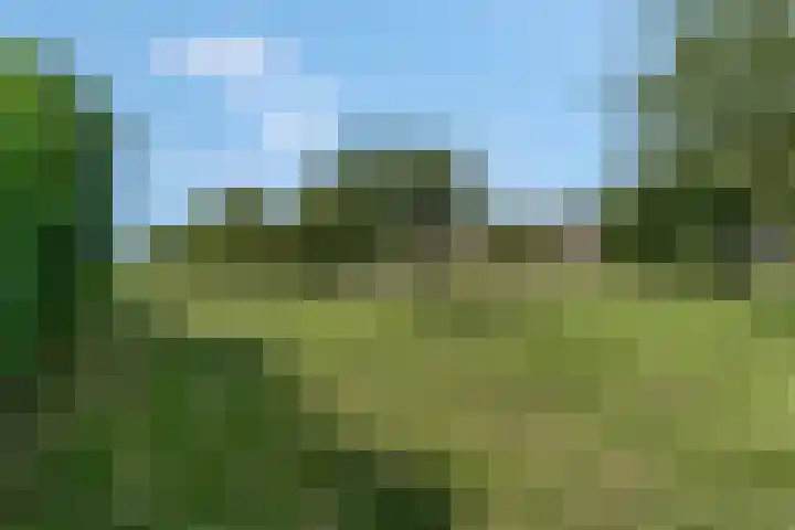 Adriaan van Ostadestraat 12 Tiel thumbnail 46