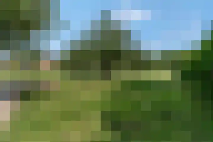 Adriaan van Ostadestraat 12 Tiel thumbnail 47