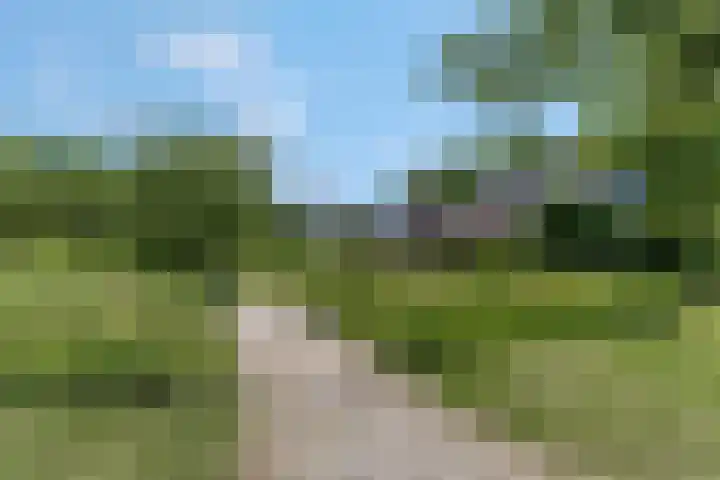 Adriaan van Ostadestraat 12 Tiel thumbnail 48
