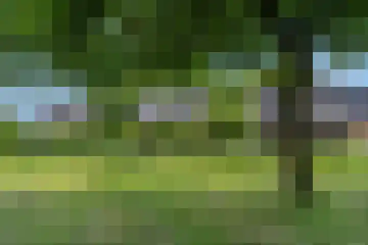 Adriaan van Ostadestraat 12 Tiel thumbnail 49