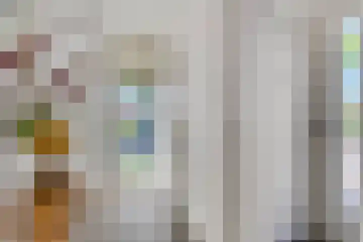Adriaan van Ostadestraat 12 Tiel thumbnail 6
